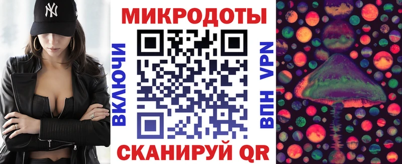 omg как войти  Болгар  Псилоцибиновые грибы Cubensis 