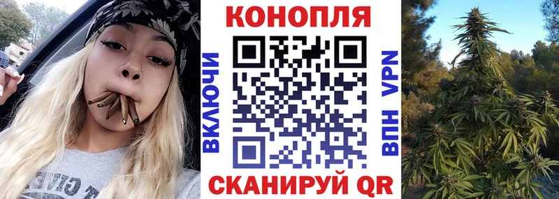 мориарти клад  купить наркотик  Болгар  Бошки марихуана SATIVA & INDICA 